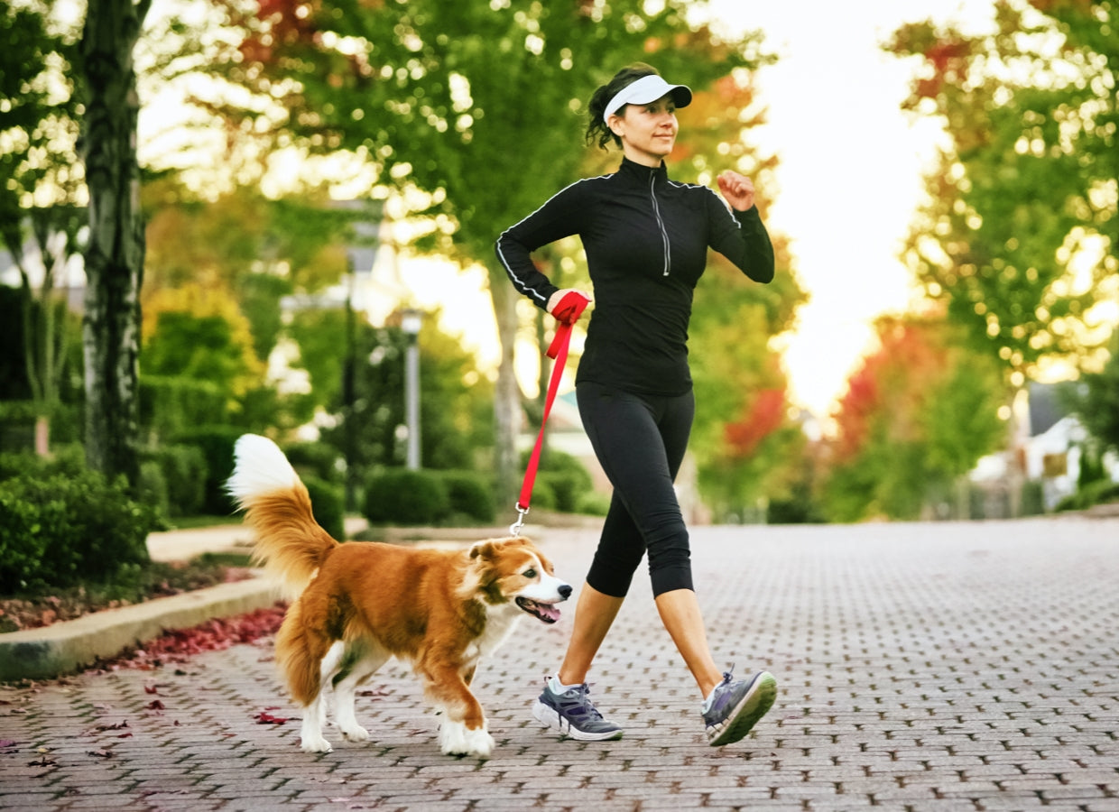 Schnelles Gehen: Wie und wie viel man trainieren sollte